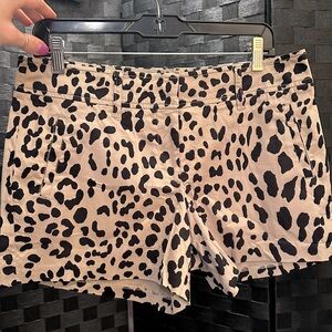 Cache style shorts 
Cheetah print
Never worn 
Size 10